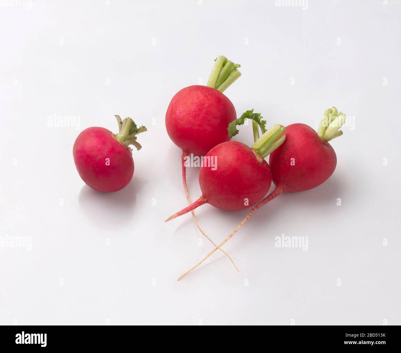 Frischer roter Rettich mit auf weißem Hintergrund isolierten Blättern Stockfoto