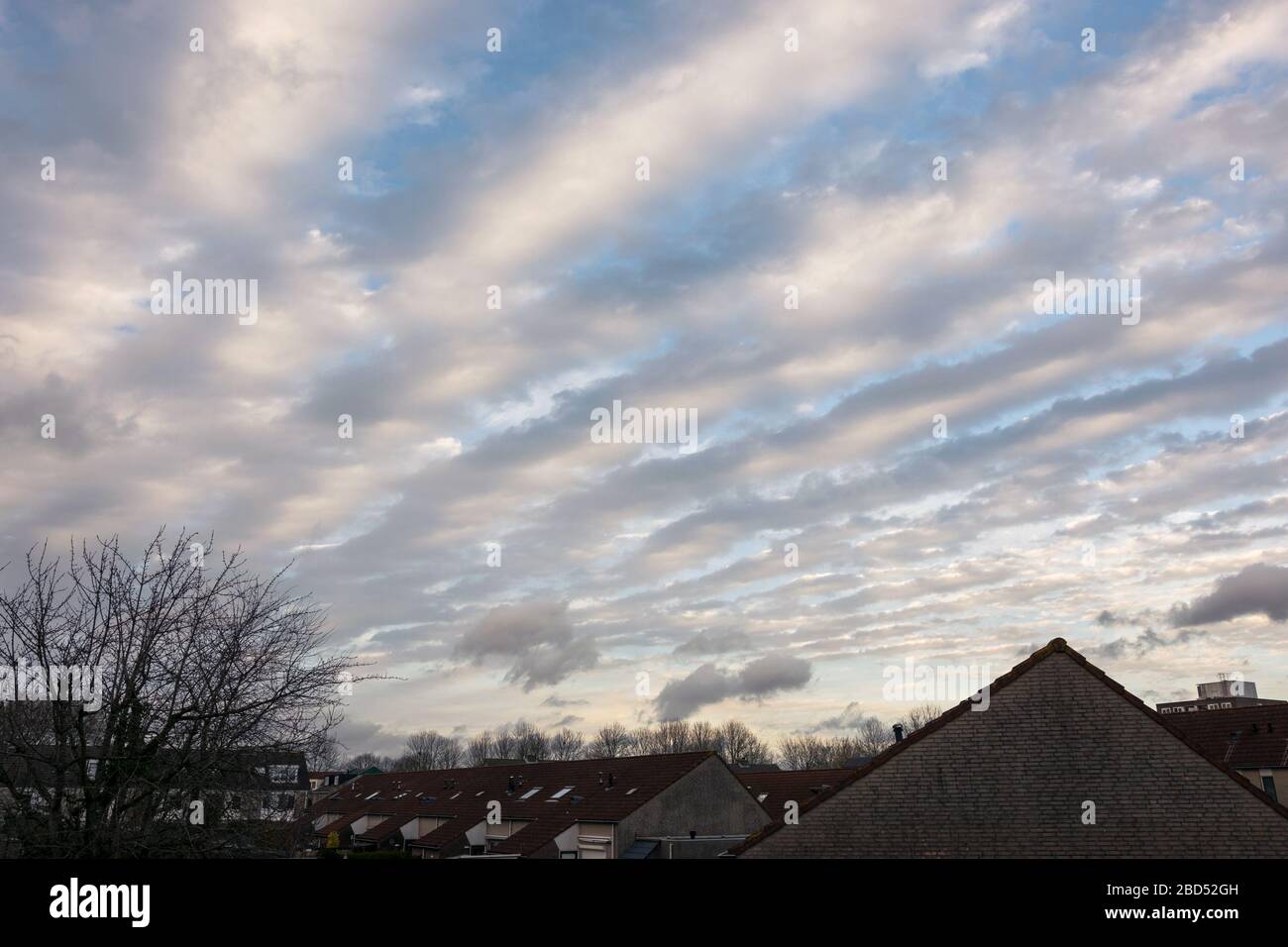 Lange rollende Wolken am Himmel in der Dämmerung, als eine Wetterfront sich nähert. Lateinischer Name der Wolken: Altocumulus undulatus. Stockfoto