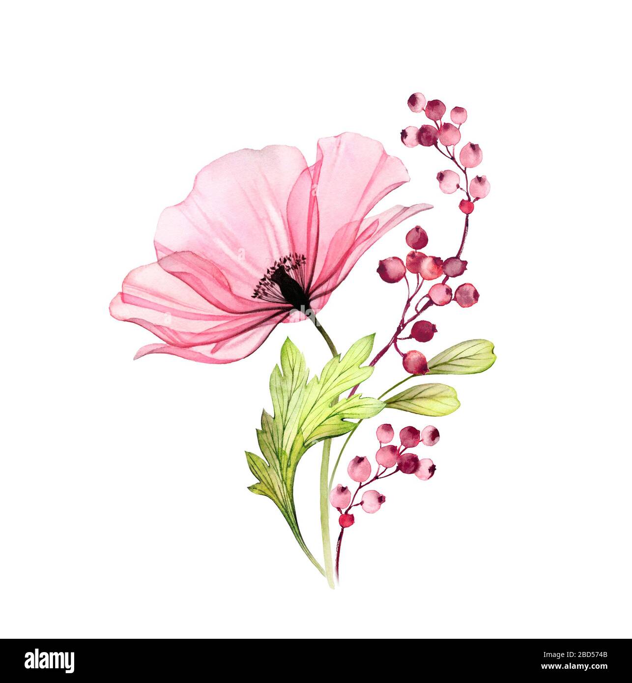 Aquarell Rose Bouquet. Große rosafarbene Blume mit Blättern und Beeren isoliert auf Weiß. Handgemalte Kunstwerke mit detaillierten Kronblättern. Botanische Illustration Stockfoto