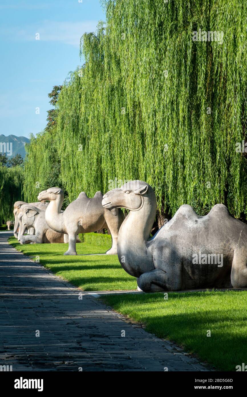 Spirit or Sacred Way, Ming Tombs, Changping District, Peking, China Stockfoto