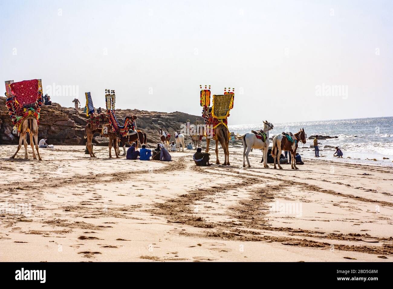 Tushan Beach, Keemari, Karachi, Sindh, Pakistan, Kamel & Reiten Warten Auf Kunden Am Nachmittag Stockfoto