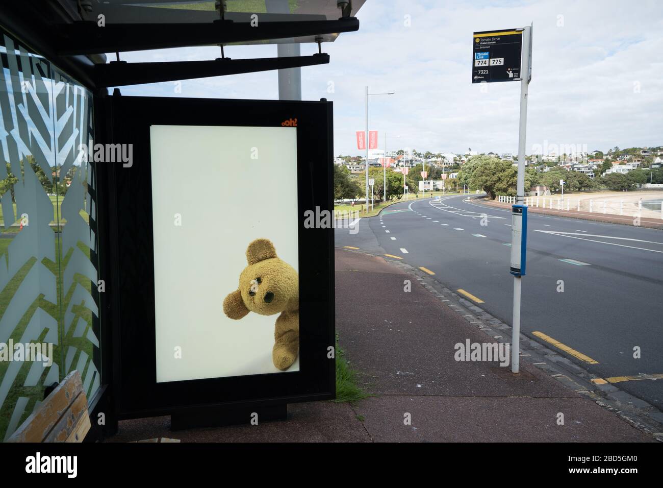 Orakei, Auckland/Neuseeland - 06. April 2020: Bilder von Teddybären in einem Busshotterplakat als Teil der neuseeländischen Bärenjagd, um Kinder zu halten Stockfoto