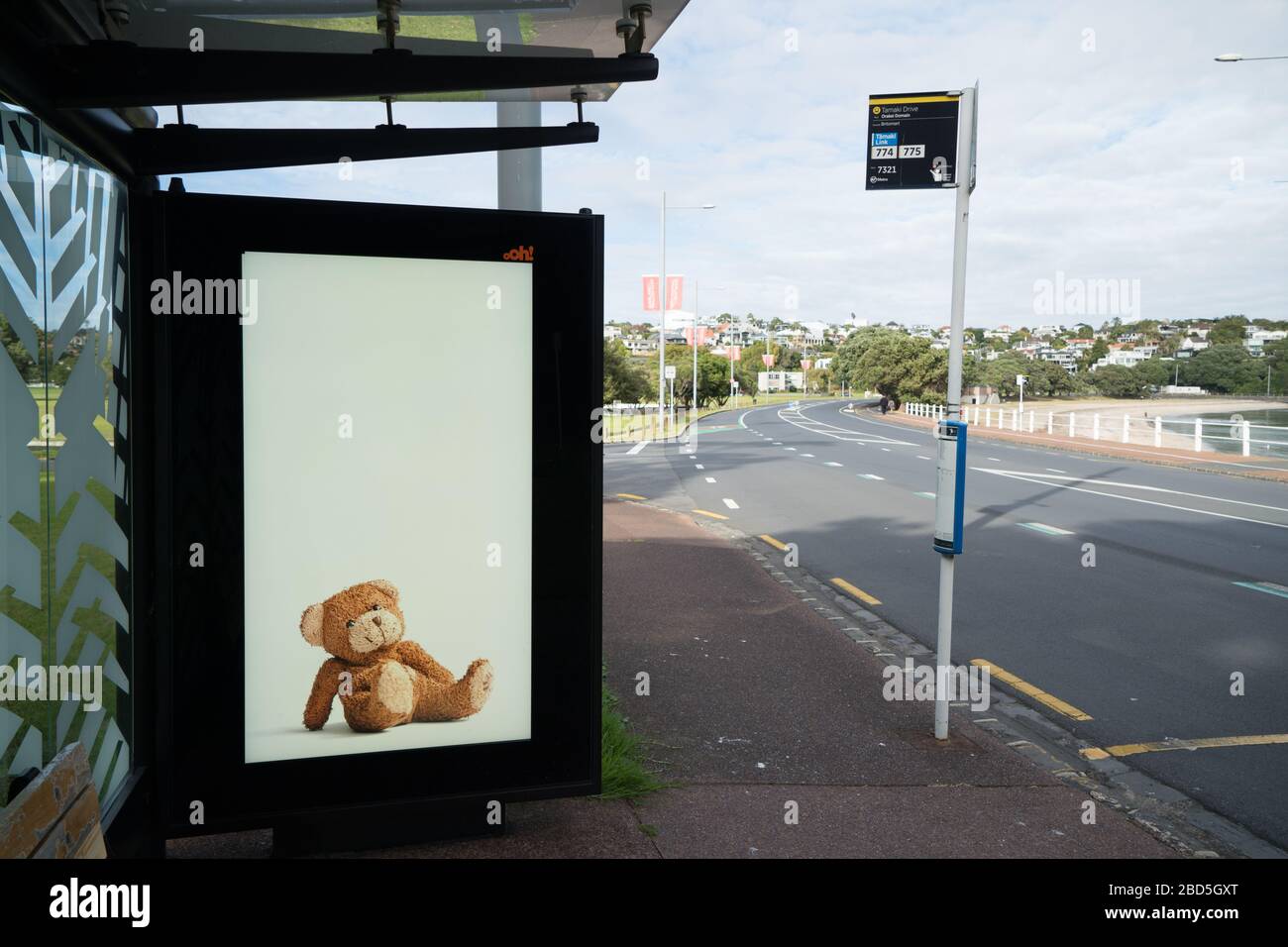 Orakei, Auckland/Neuseeland - 06. April 2020: Bilder von Teddybären in einem Busshotterplakat als Teil der neuseeländischen Bärenjagd, um Kinder zu halten Stockfoto