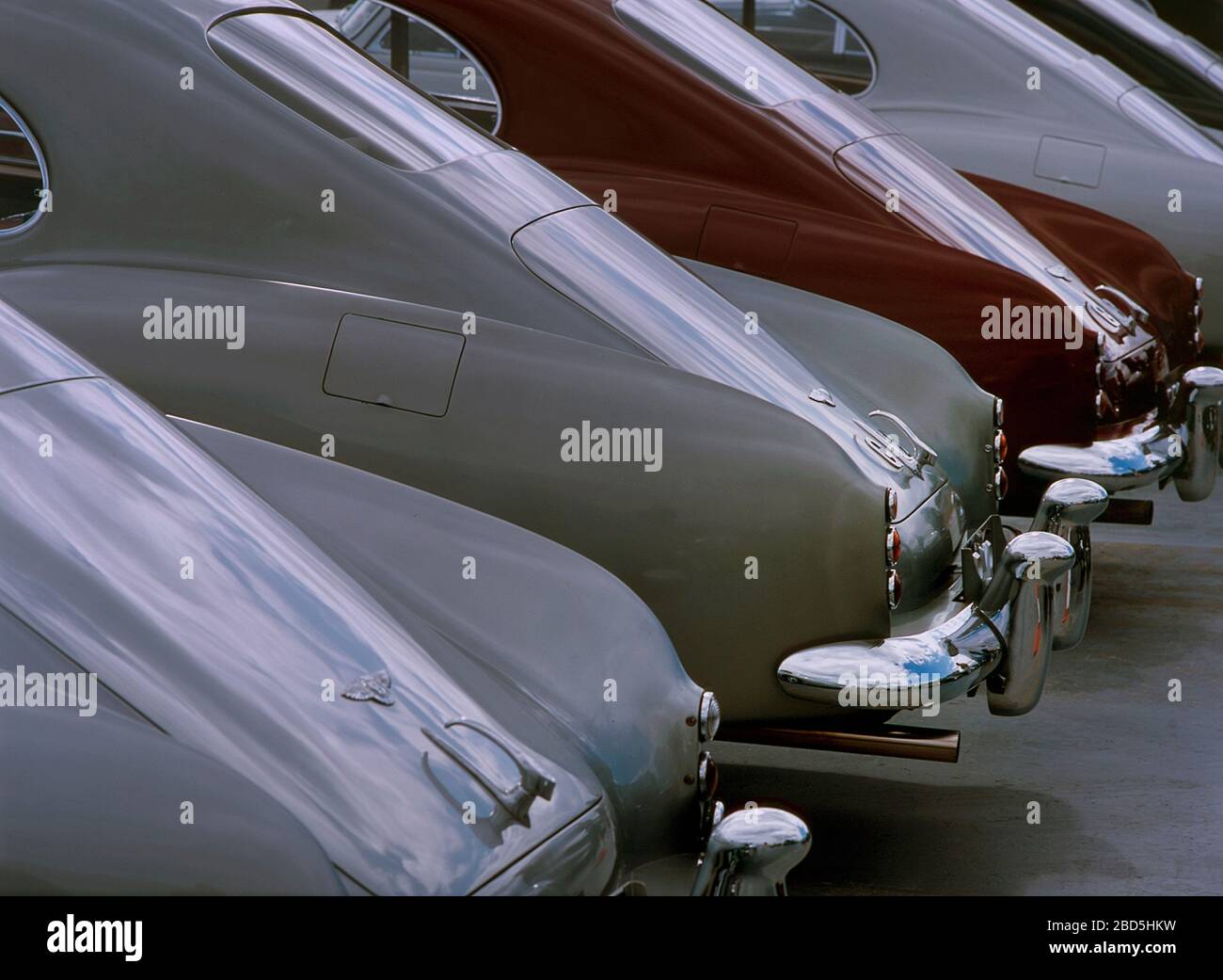 Bentley Continental zum 50-jährigen Jubiläum in Silverstone 2001 Stockfoto