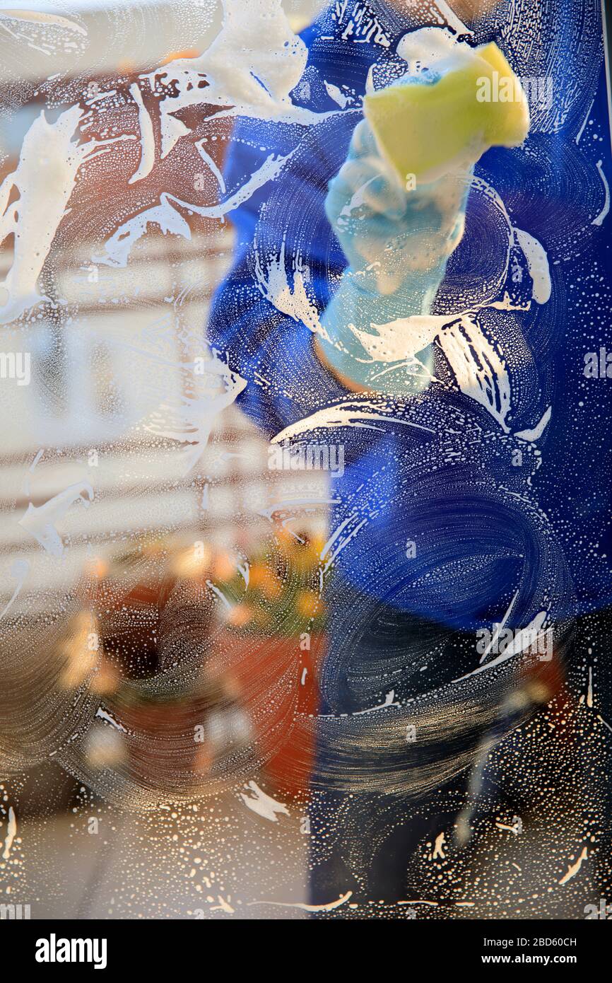 Allgemeine Ordnung und Sauberkeit: Fenster reinigen, Fensterreiniger mit  einem Quiegee, Schwamm und Seifenlauge reinigen, um ein Fenster zu waschen  Stockfotografie - Alamy