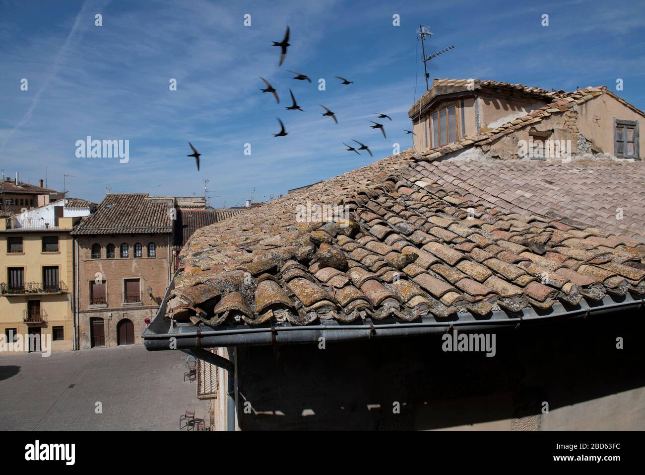 Schwalben, die über Dächer fliegen, Hotel Parador de Olite, Plaza Teobaldos, Olite, Provinz Navarra, Spanien, Europa Stockfoto