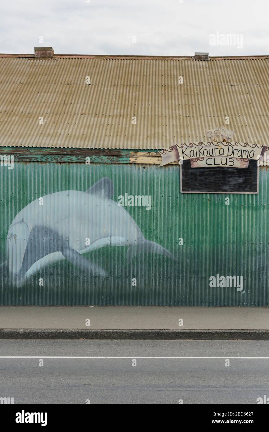 Der Kaikoura Drama Club baut einen alten Wellblechschuppen oder -Schck. Stockfoto