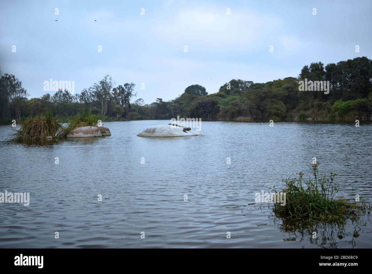 Kleine Süße Wasser See Landschaft Hintergrund Stockfoto