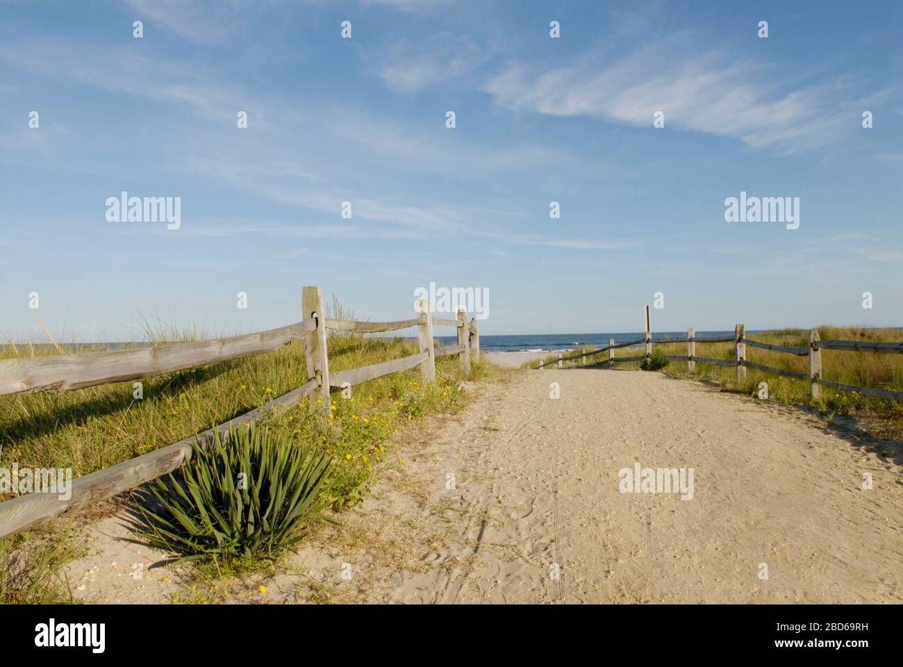 Weg zum Strand, Avalon, New Jersey Stockfoto