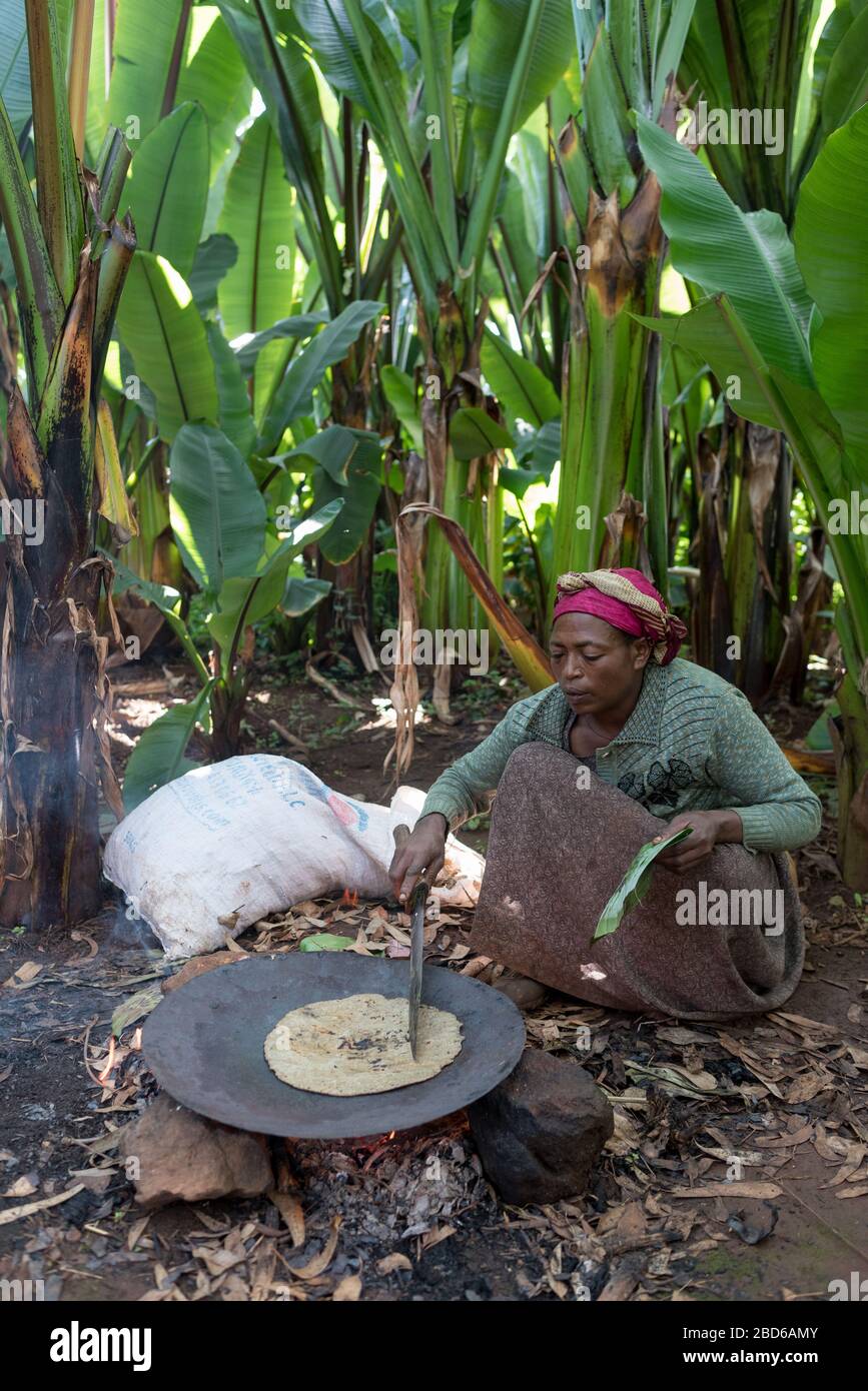 Frau zieht Banane wie Teff, grün hinter ihr, um Injera flaches Brot zu machen, das sie auf Feuer kocht, Mitglied der Dorze ethnischen Gruppe, Dorze, Äthiopien. Stockfoto