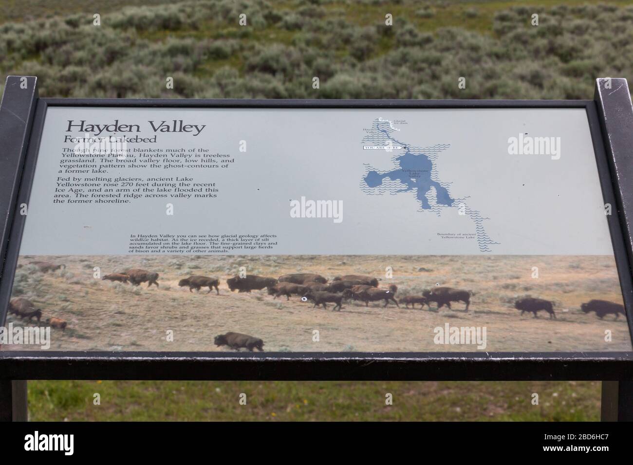 YELLOWSTONE NATIONAL PARK, USA - 12. Juli 2014: Ein Informationsschild mit Angaben zum Hayden Valley im Yellowstone National Park, Wyomin Stockfoto