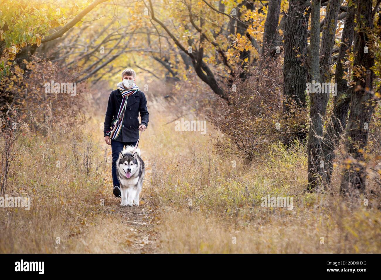 Ein Mann in einer medizinischen Maske wandert während der Quarantäne in einem Wald einen Hund Stockfoto