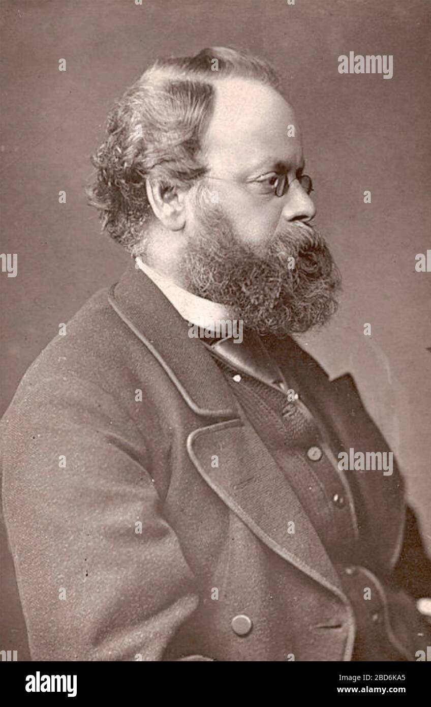 SAMUEL PLIMSOLL (1824-1898) englischer Politiker und Verweser der Plimsol-Linie Stockfoto