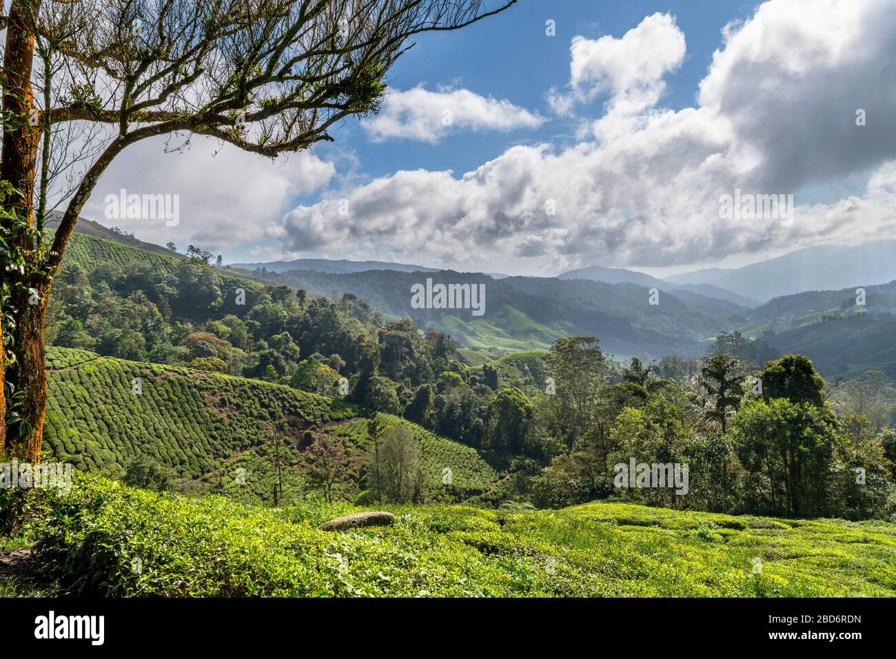 Cameron Highlands Landschaft in der Nähe von Tana Ratah, Malaysia Stockfoto