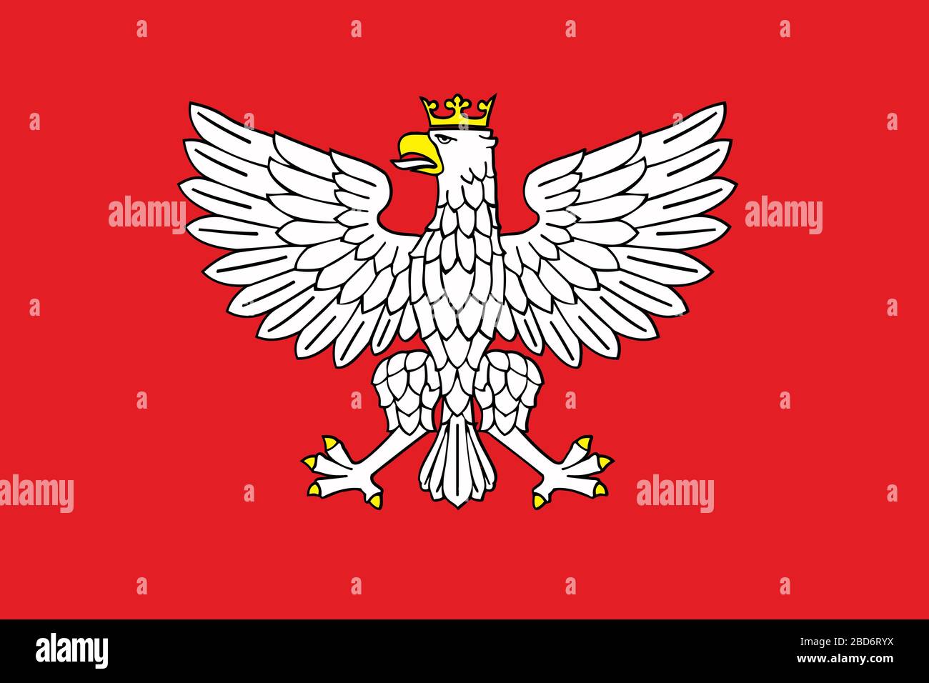 Ansicht eines weißen Adlers heraldisch auf rotem Hintergrund. Stockfoto