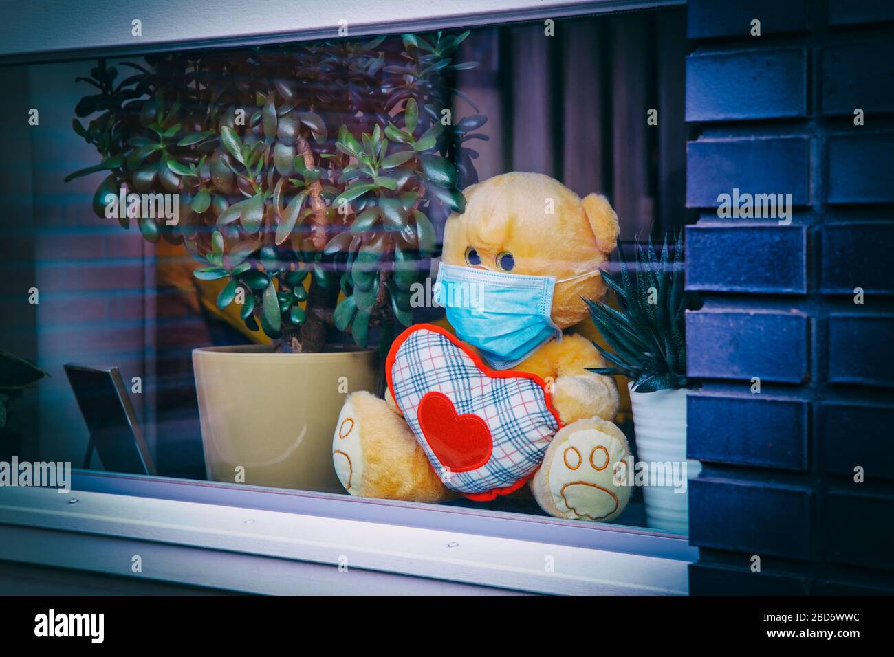 Bleiben Sie zu Hause Quarantäne Coronavirus Pandemieprävention. Süßer Teddybär mit medizinischer Maske, die das Herz hält und sitzt auf Fensterbank neben Töpfen mit hous Stockfoto