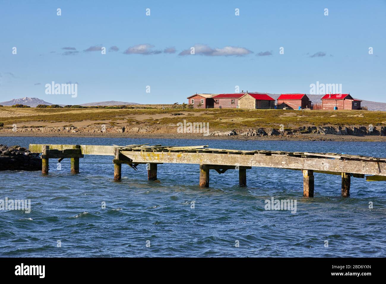 Häuser mit roten Dächern in Darwin Harbour, East Falkland, Falkland Islands, Falkland Stockfoto