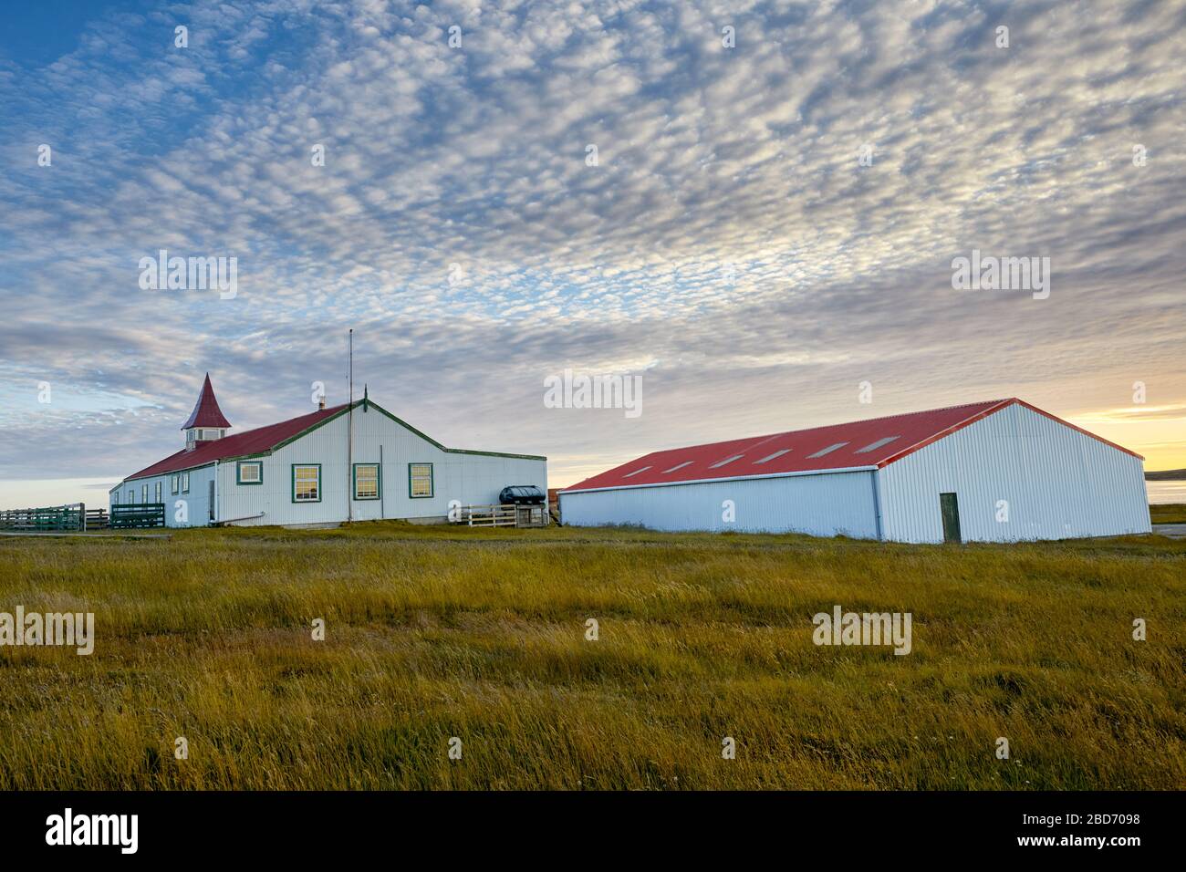 Gans Green Village in Ostfalkland; Falklandinseln; Falkland; Stockfoto