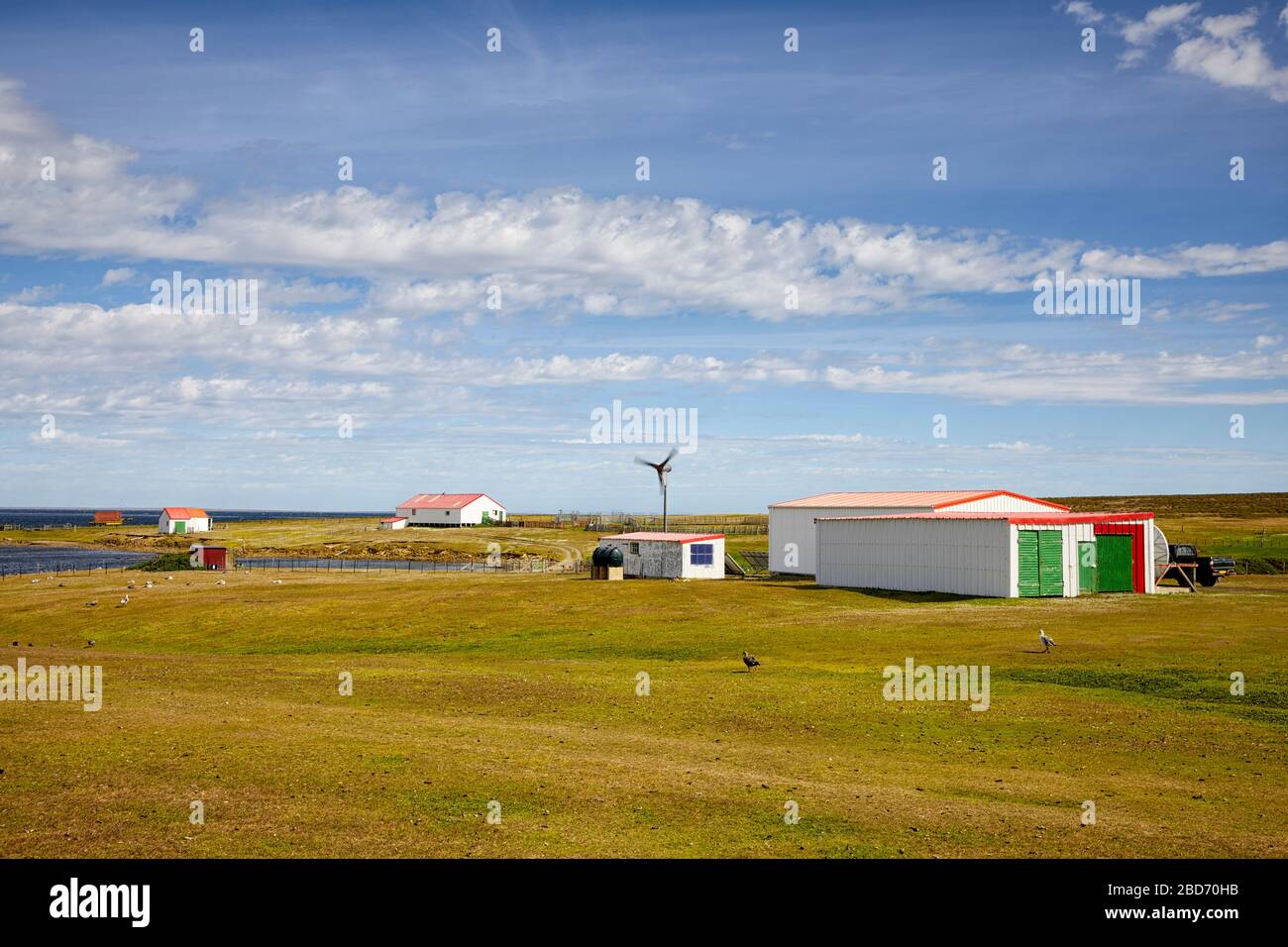 Siedlung Bleaker Island, Falklandinseln, Falkland Stockfoto