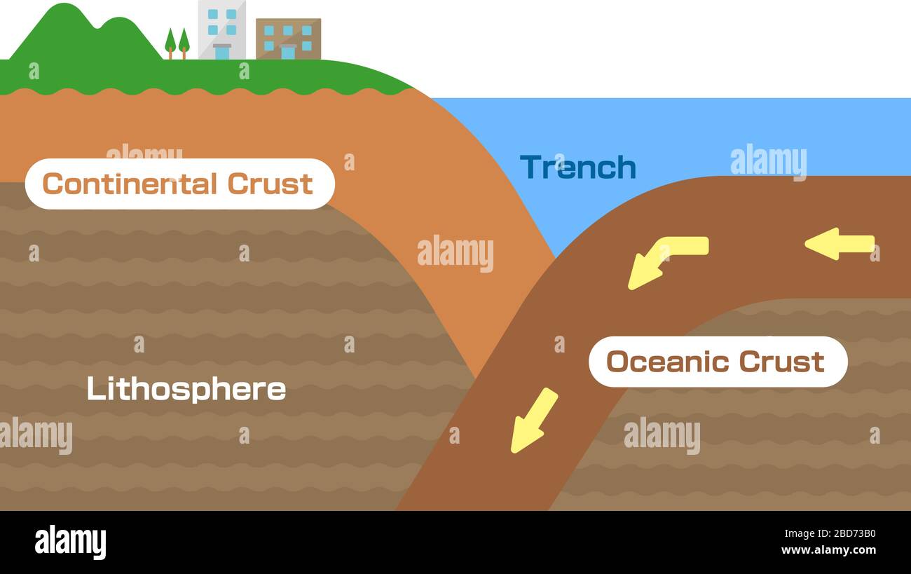 Kontinentale Kruste und ozeanische Kruste. Schnittbild Vektor-Darstellung. Stock Vektor