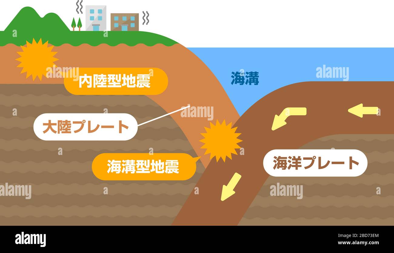 Kontinentale Kruste und ozeanische Kruste. Schnittbild Vektor-Darstellung. Stock Vektor