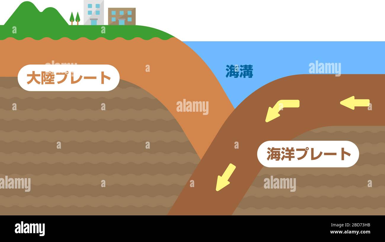 Kontinentale Kruste und ozeanische Kruste. Schnittbild Vektor-Darstellung. Stock Vektor