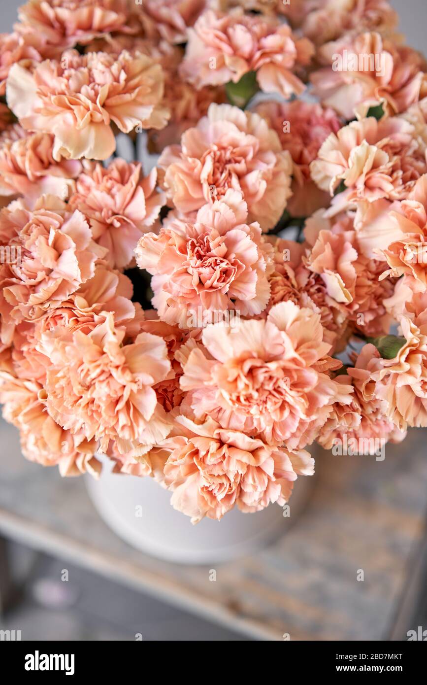 Blumenstrauß aus Nelken blumen Pfirsich Farbe. Frühling Hintergrund. Nelke Bündel Geschenk für Muttertag Stockfotografie