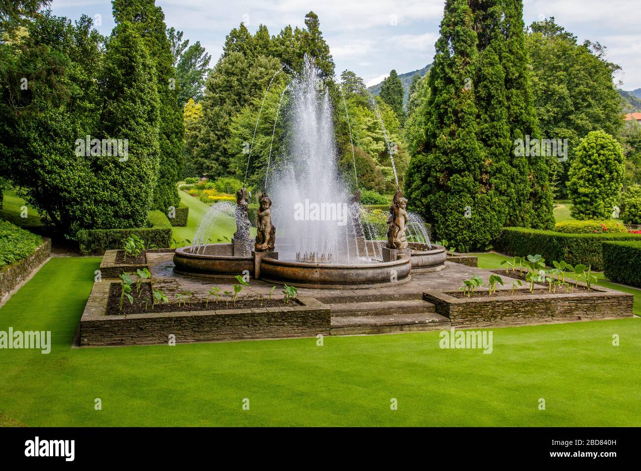Wassergarten der Villa Taranto am Lago Maggiore, Italien, Piemont Stockfoto