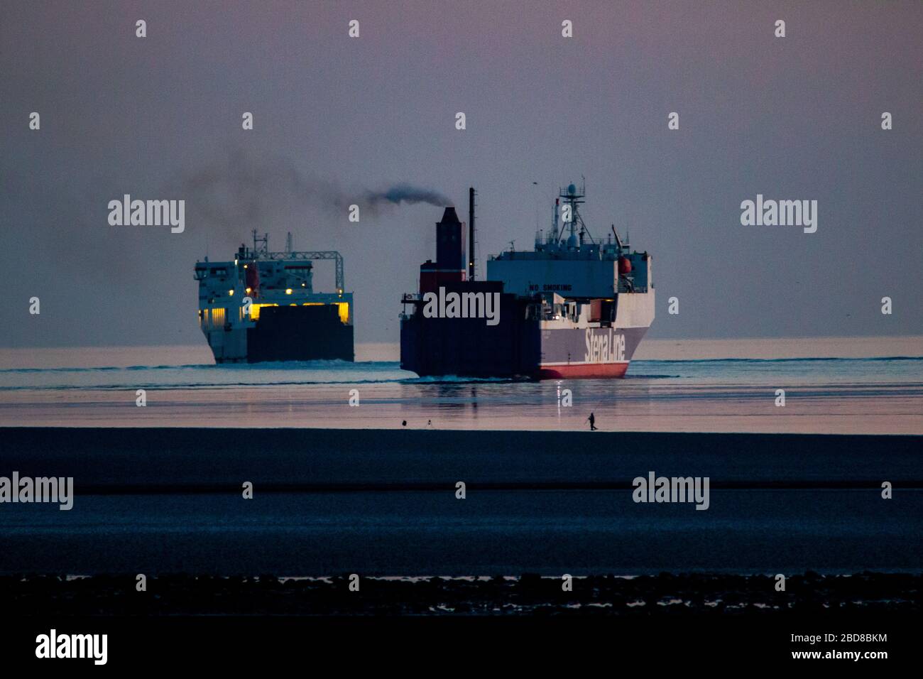 Heysham, Lancashire, Großbritannien. April 2020. Die Merchant Navy unterstützt weiterhin die Inselnation mit Fähren, die die Verbindung zwischen dem britischen Festland und Northern Island aufrechterhalten, wobei die Seatruck Performance Heading for Warren Piont die Stena Scotia Bound for Belfast aus Heysham Harbour at Dusk Credit: Photographing North/Alamy Live News führt Stockfoto