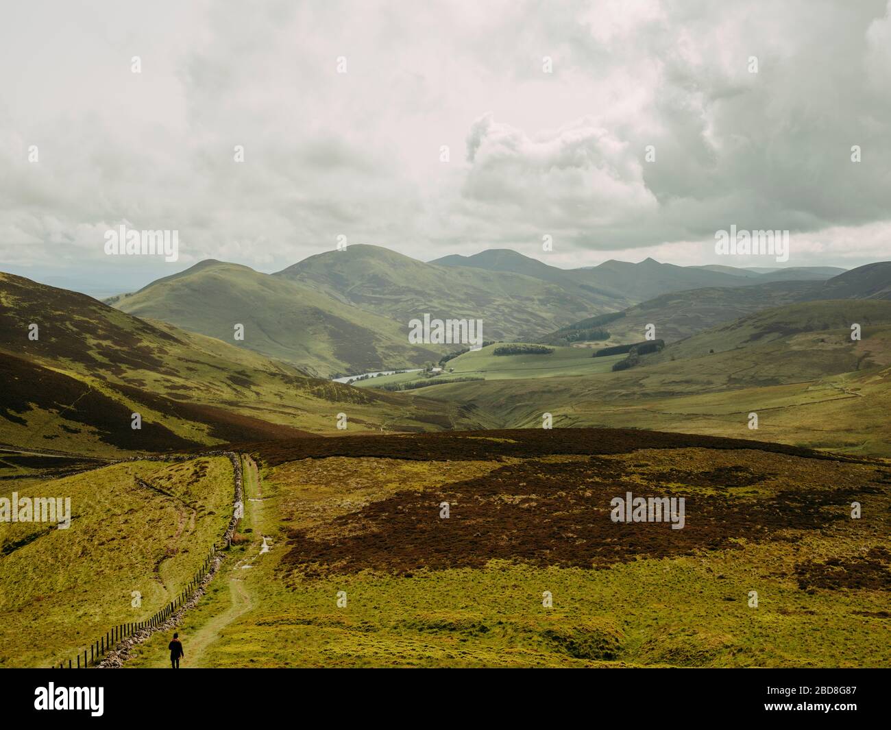 Sanfte Hügel in schottischer Landschaft Stockfoto