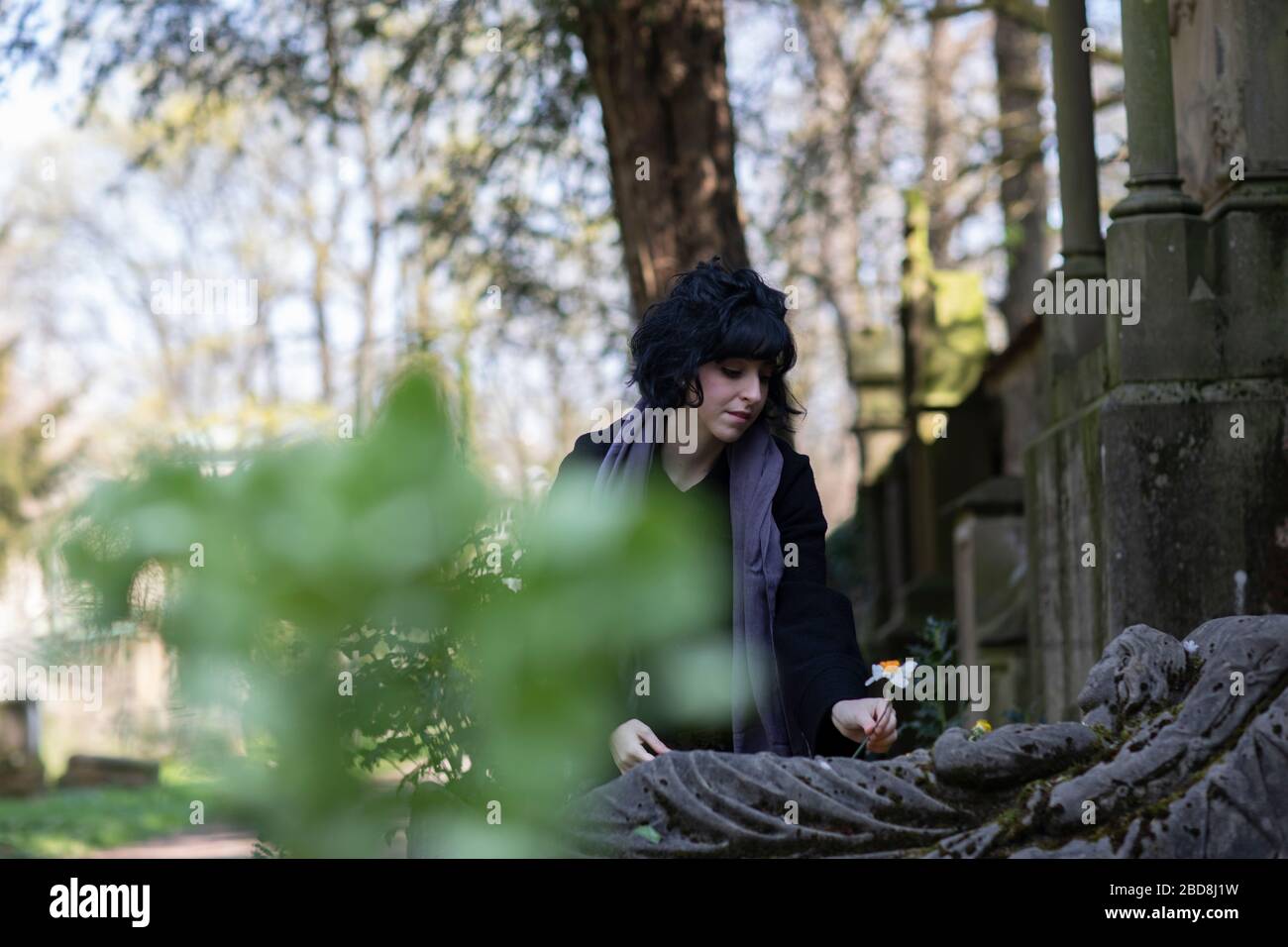 Eine Frau in Trauer legt eine Blume an das öffentliche Grab Stockfoto