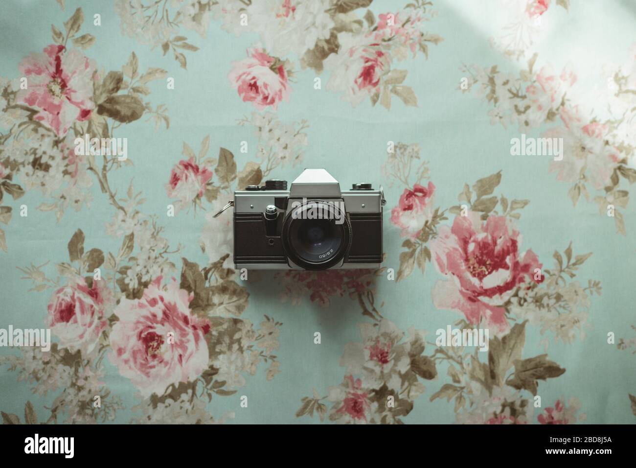 Alte Kamera auf einem blühenden Hintergrund Stockfoto