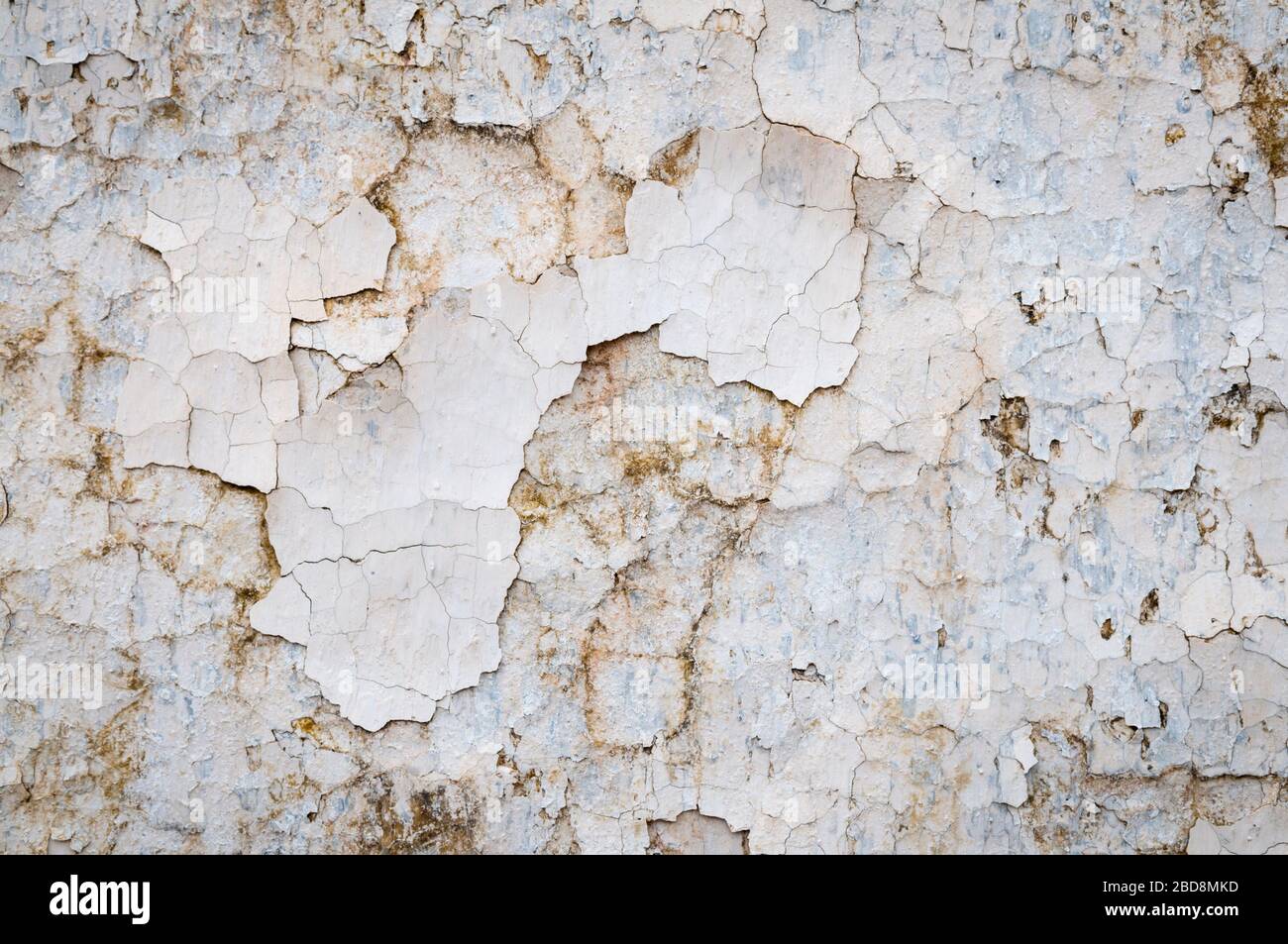 Vollrahmen Grunge Hintergrund der verwitterten Wand mit Brocken von weißer Farbe rissend weg Stockfoto