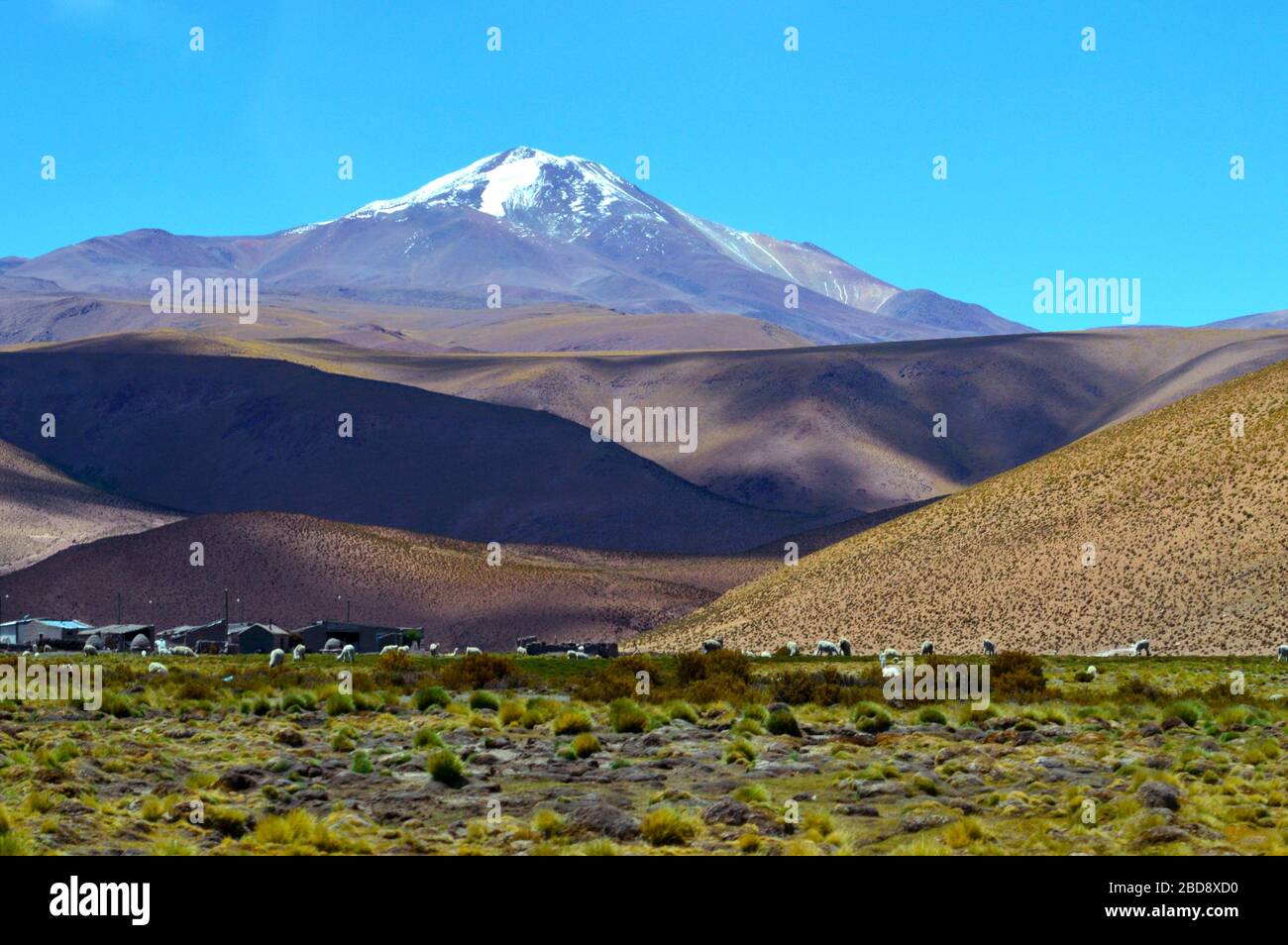 Vulkan Quevar von Santa Rosa de los Pastos Grandes, Salta, Argentinien Stockfoto