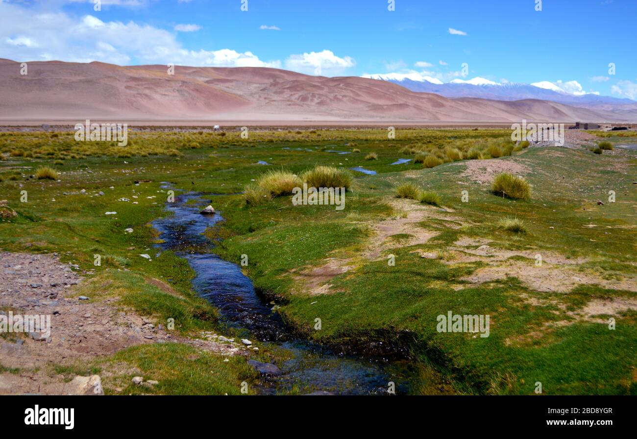 Die schöne fruchtbare Ebene von Santa Rosa de los Pastos Grandes, Salta, Argentinien Stockfoto