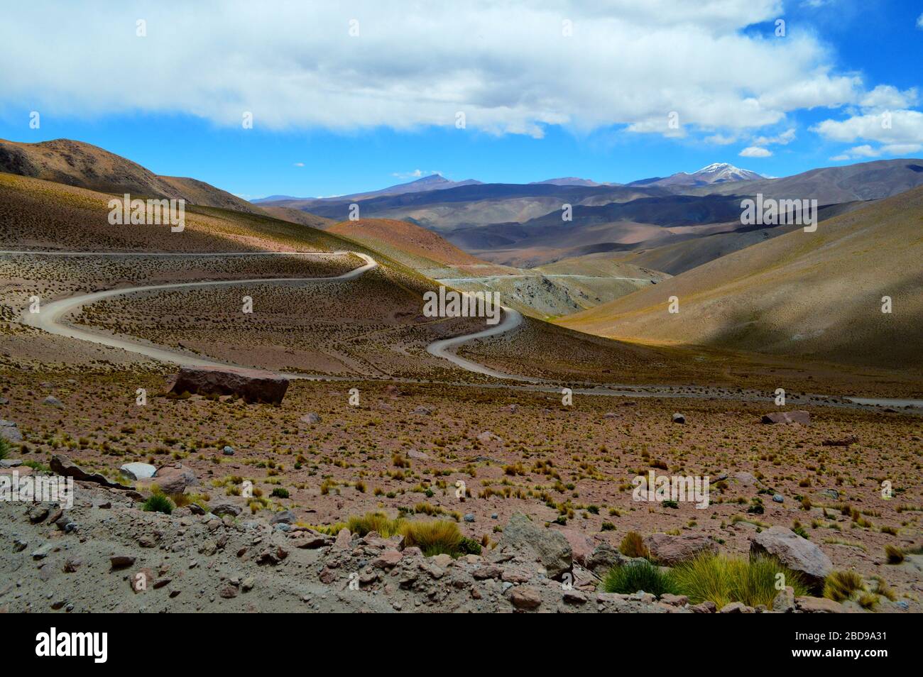Abstieg nach Santa Rosa de los Pastos Grandes. Der Vulkan Quevar ist rechts zu sehen. Salta, Argentinien Stockfoto
