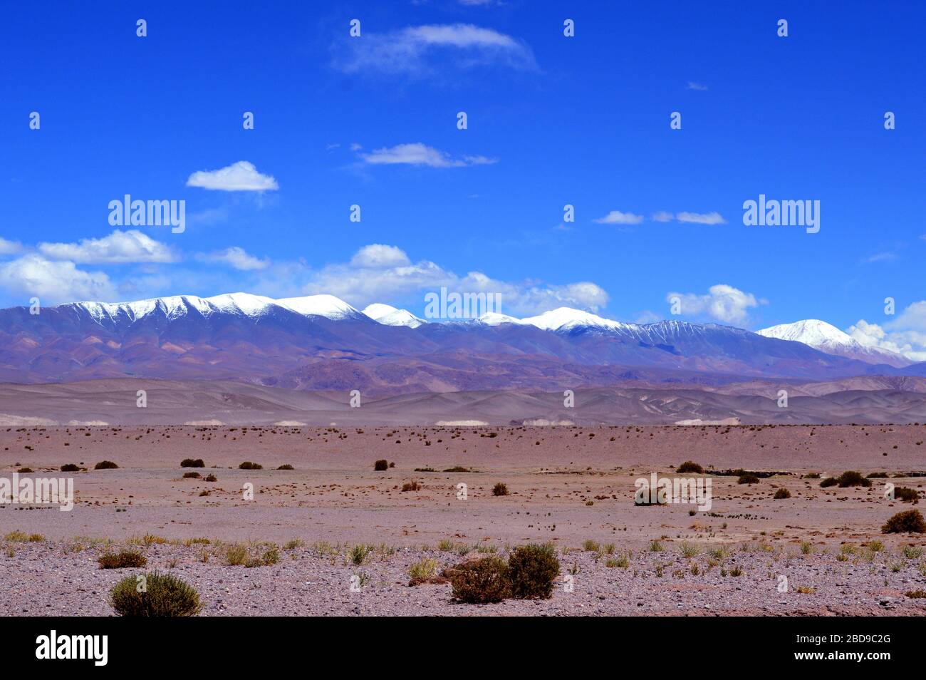 Cachi Bergkette, mit dem berühmten verschneiten rechts, aus der Nähe von Santa Rosa de los Pastos Grandes gesehen. Salta, Argentinien Stockfoto