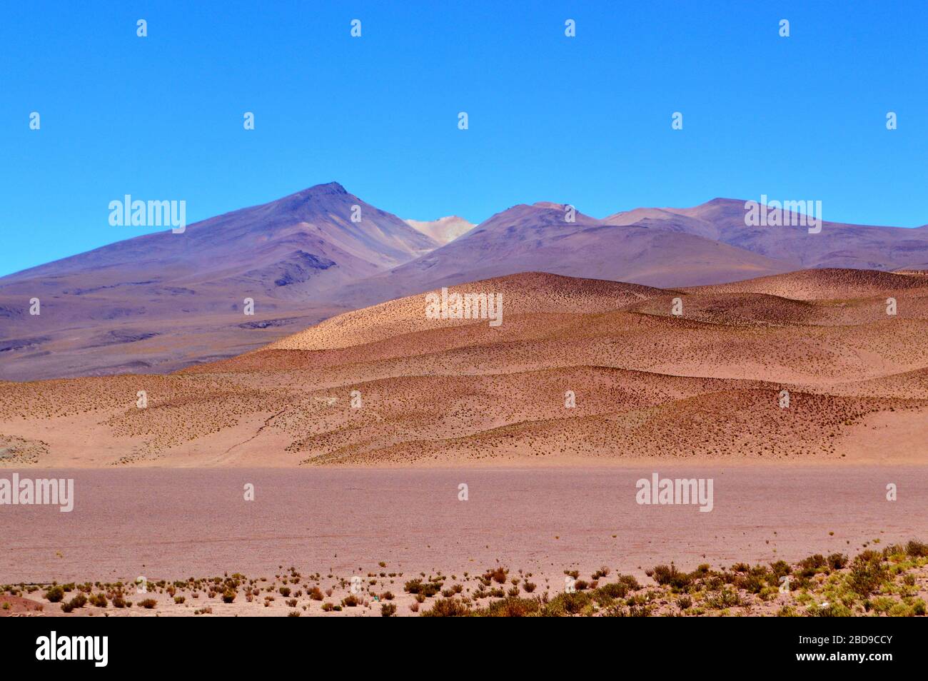 Bunte Bergkette in Santa Rosa de los Pastos Grandes, Salta, Argentinien Stockfoto