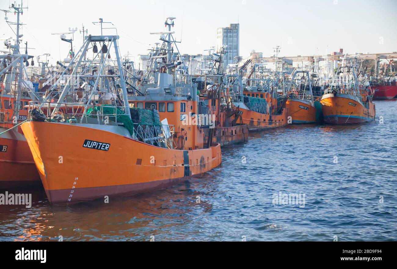 Fischerboote dockten in Mar del Plata, Argentinien Stockfoto
