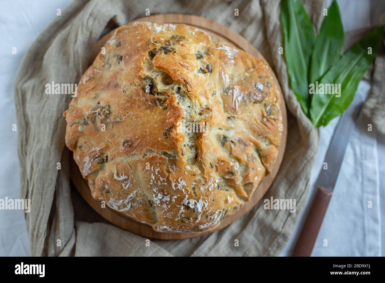 Wilder Knoblauch kein Knebenbrot Stockfoto