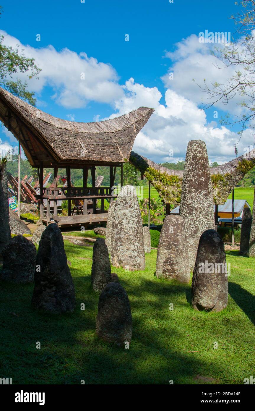 Megalitische Stätte von Bori Kalimbuang in Nord-Toraja, Indonesien. Tana Toraja in Süd-Sulawesi ist einer der Höhepunkte des indonesischen Tourismus. Die Stockfoto