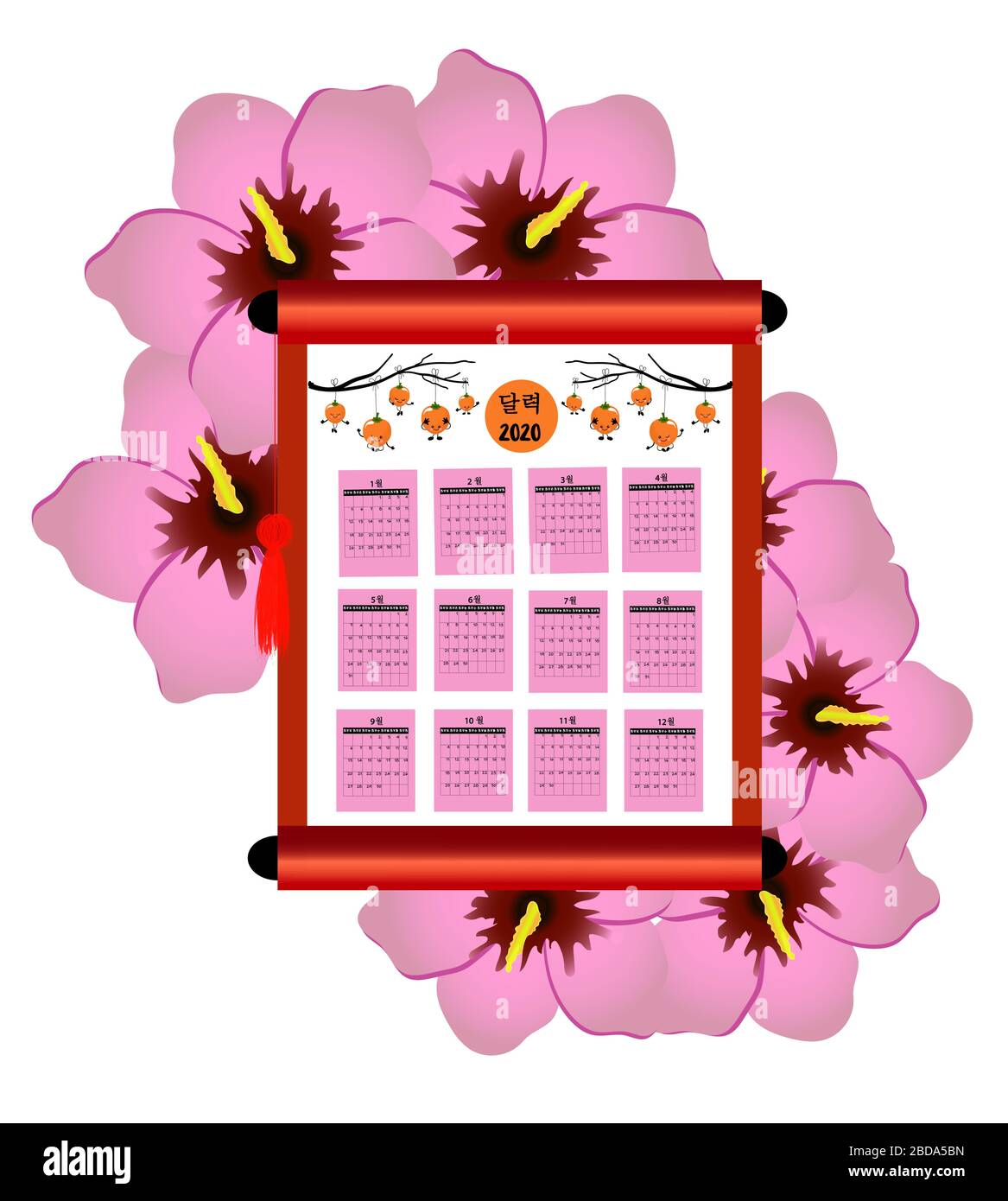 Kalender 2020 Koreanisch. Stock Rose oder Hibiskus nationales Symbol von Südkorea. Mit Pergament scrollen. Persimonobst. Übersetzung: Wochentage und Stock Vektor