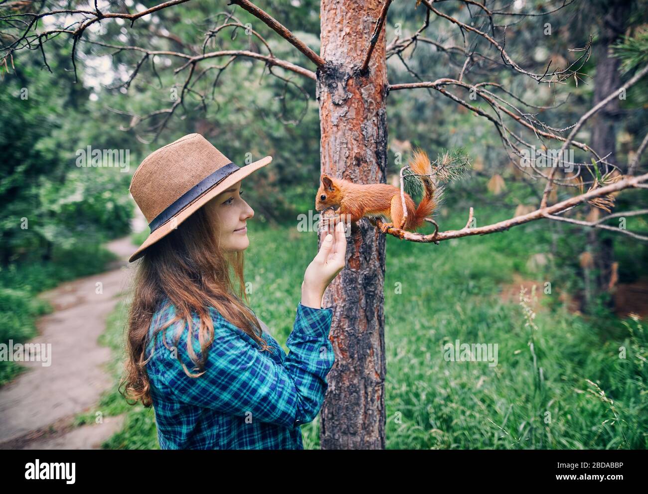 Junge hipster Frau in Hut mit langen Haaren füttern Eichhörnchen in einem Pinienwald Stockfoto