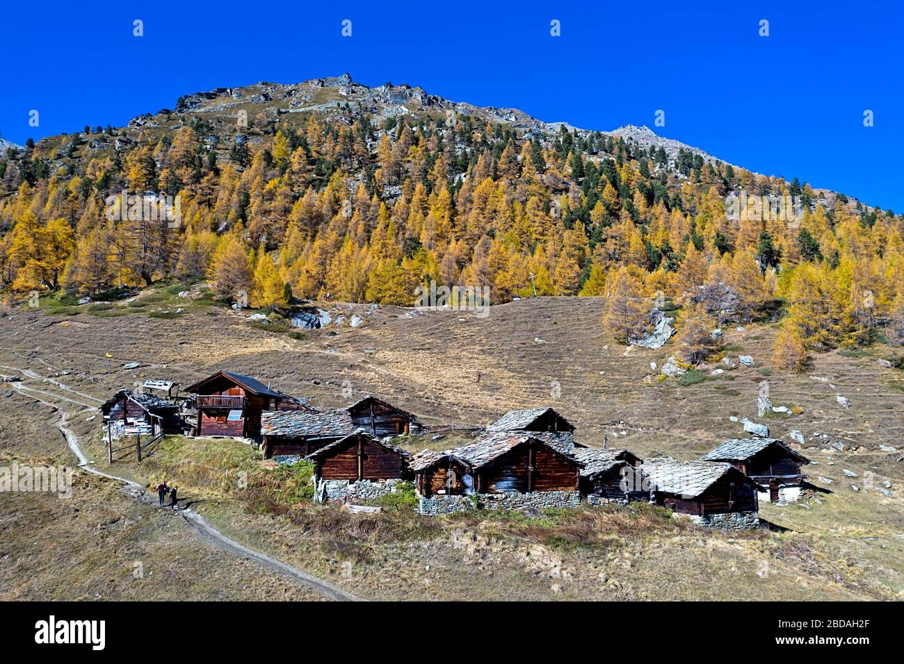 Der Weiler Le Louché am Fuße eines Lärchenwaldes in hellen Herbstfarben, Val d'Herens, Eringertal, Wallis, Schweiz Stockfoto