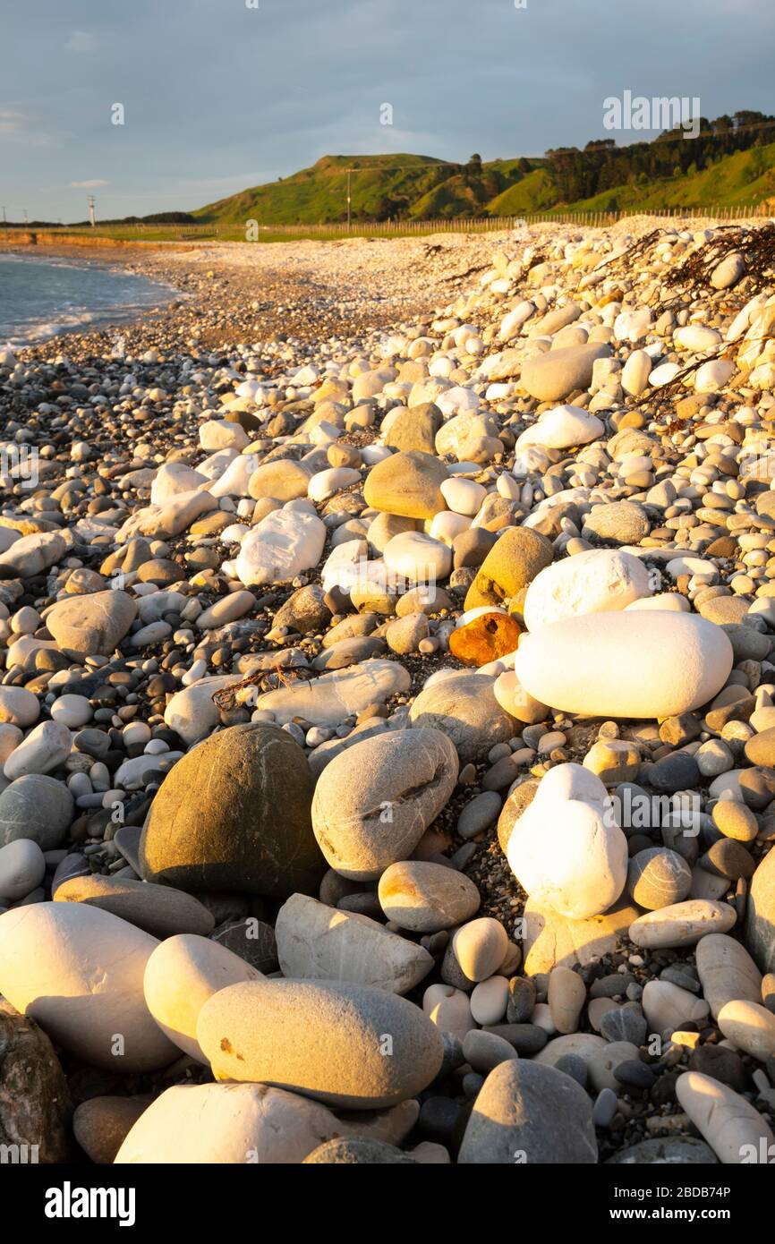 Steiniger Strand in der Nähe von Glenburn, Wairarapa, Neuseeland Stockfoto