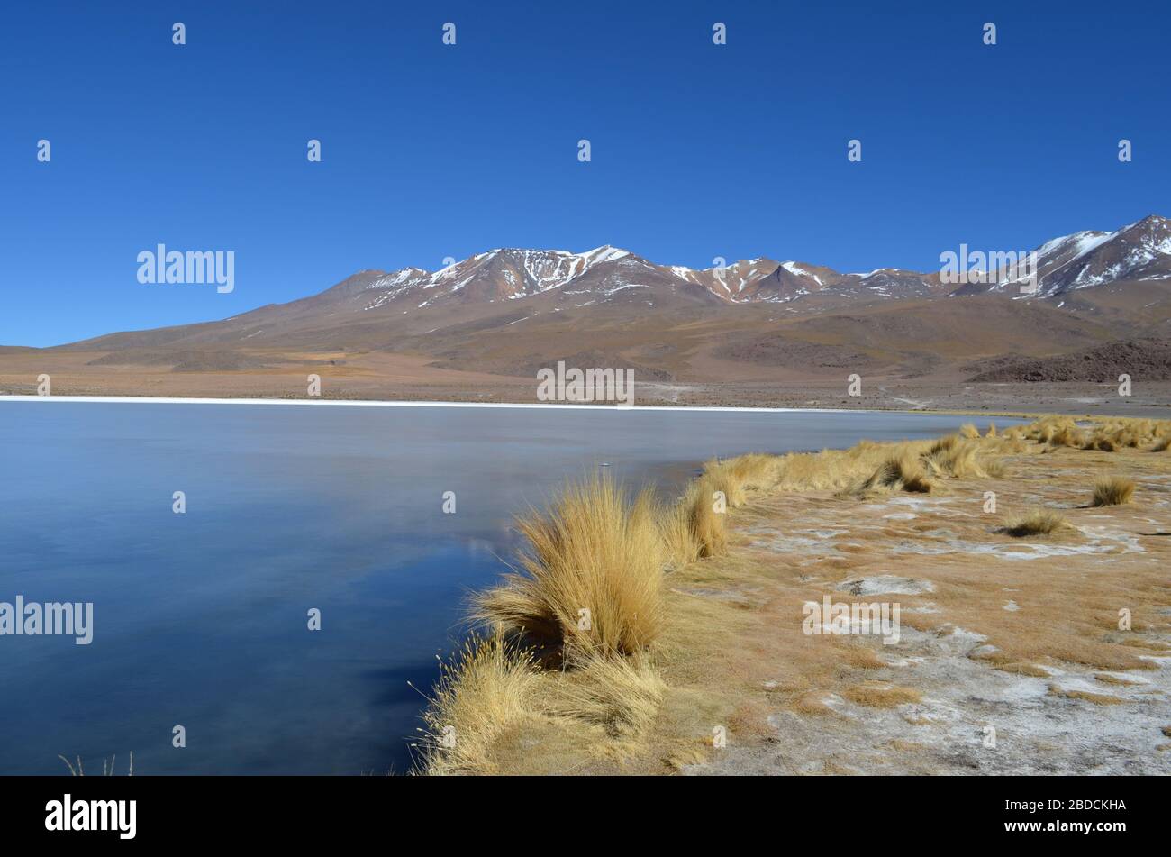 Wunderschöne Lagune von Cañapa im bolivianischen Hochland Stockfoto