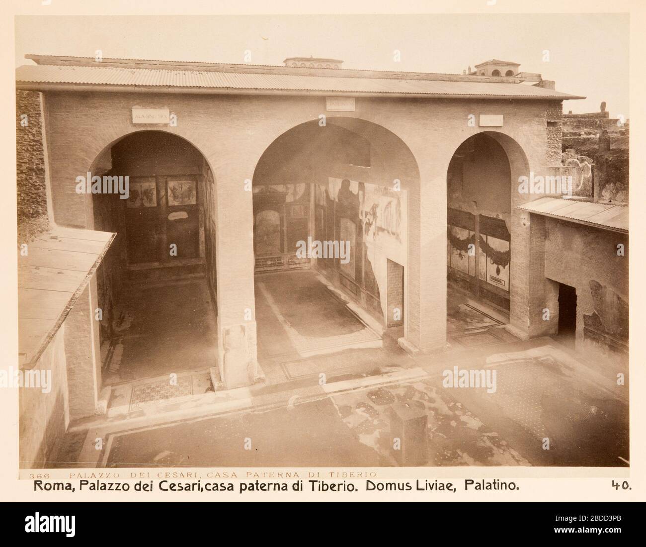 "Fotografier; Fotografi av Roma. Palazzo dei Cesari, Casa paterna di Tiberio (Domus Liviae), Palatino; Unbekanntes Datum; LSH 104722 (hm dig18191); ' Stockfoto