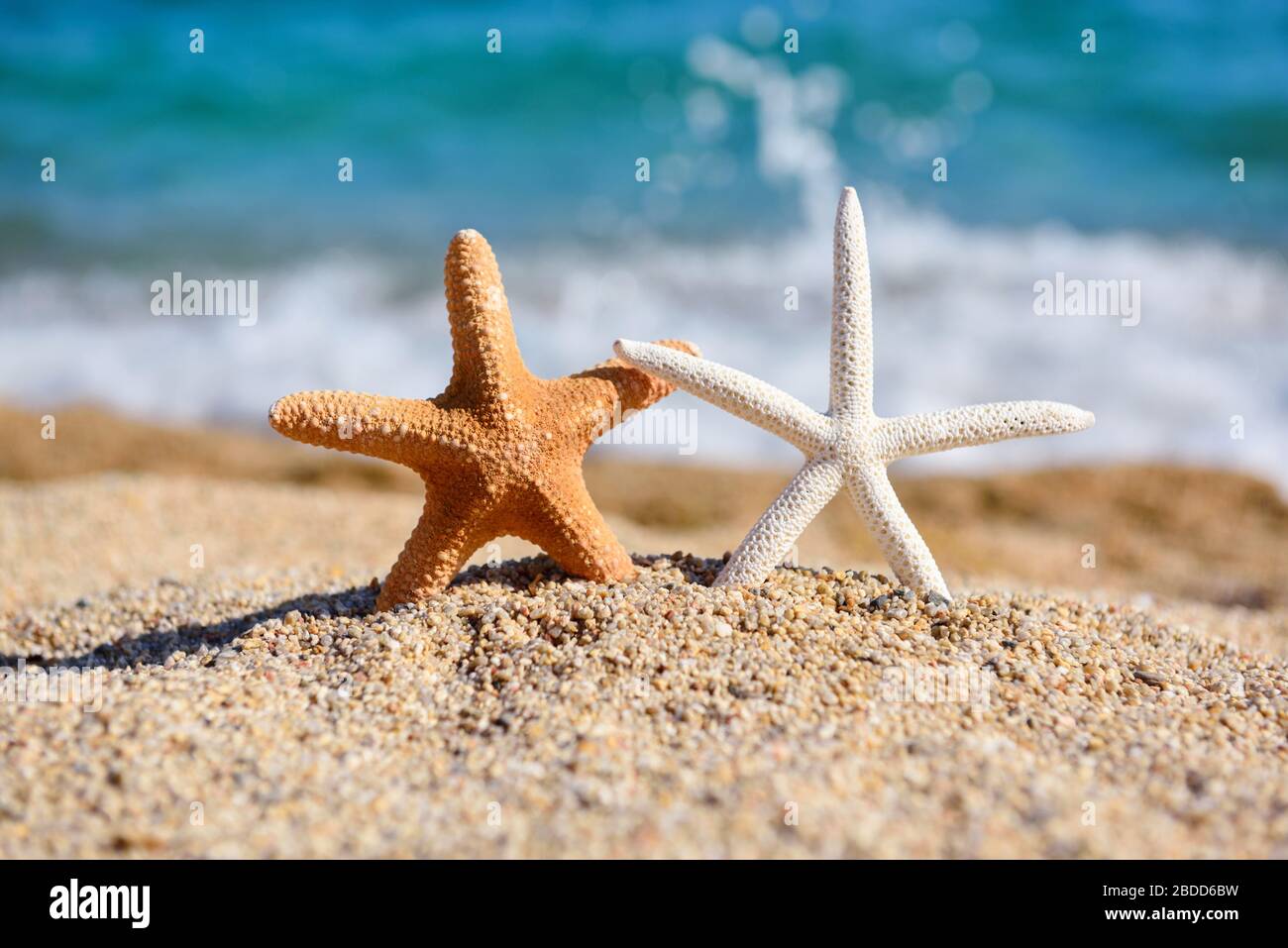 Schöne Meeressterne am Strand vor dem Hintergrund des Meeres und Wellen an einem heißen sonnigen Tag Stockfoto