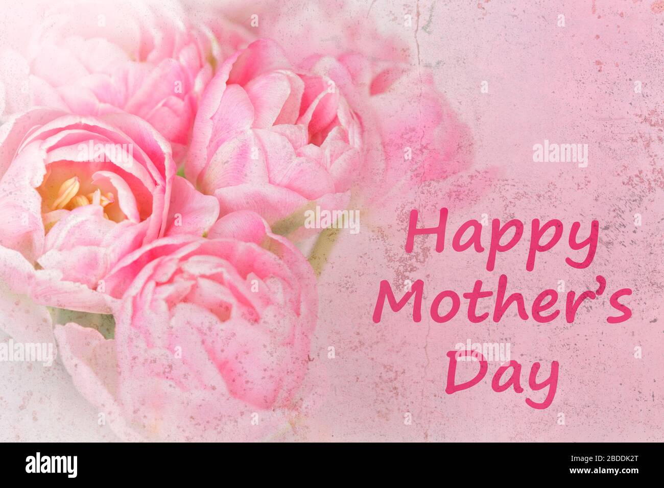 Vorlage für nostalgische Grußkarten. Rosa Blumen mit Text: Glücklicher Muttertag, verängstigter Grunge-Effekt. Stockfoto