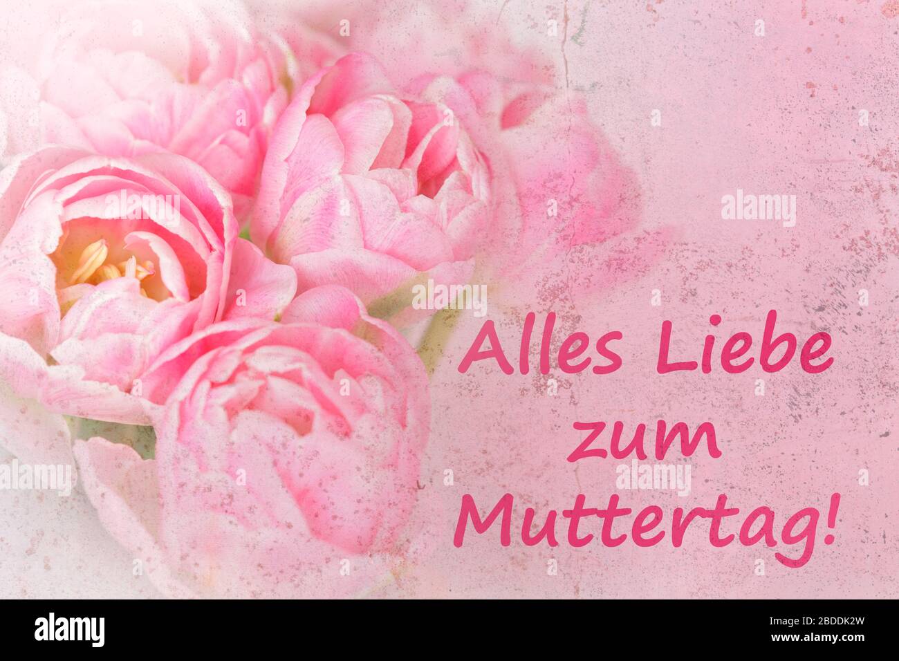 Vorlage für nostalgische Grußkarten. Rosa Blumen mit Text: Fröhlicher Muttertag in deutscher Sprache, verärgerter Grunge-Effekt. Stockfoto